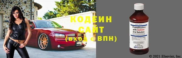 хмурый Михайловск