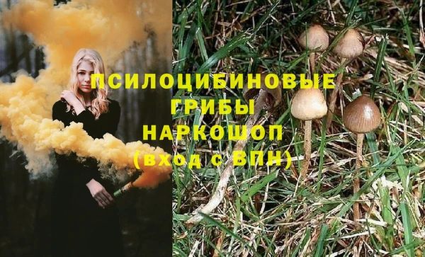 дурь Михайлов