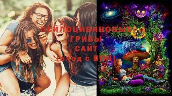дурь Михайлов