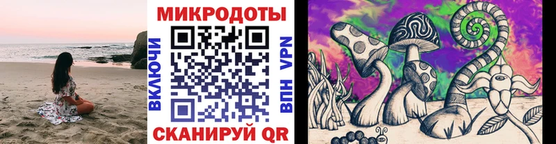 Псилоцибиновые грибы Psilocybine cubensis  Новый Оскол 