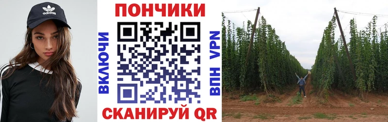 Каннабис OG Kush  сайты даркнета клад  Новый Оскол  OMG как войти 